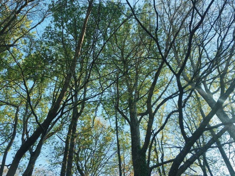 keeping faith even when it's hard